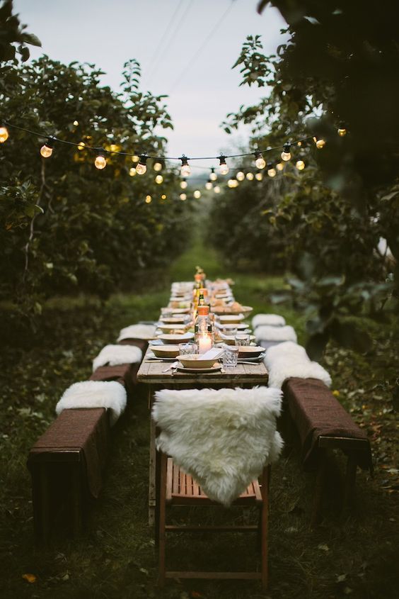 The Table