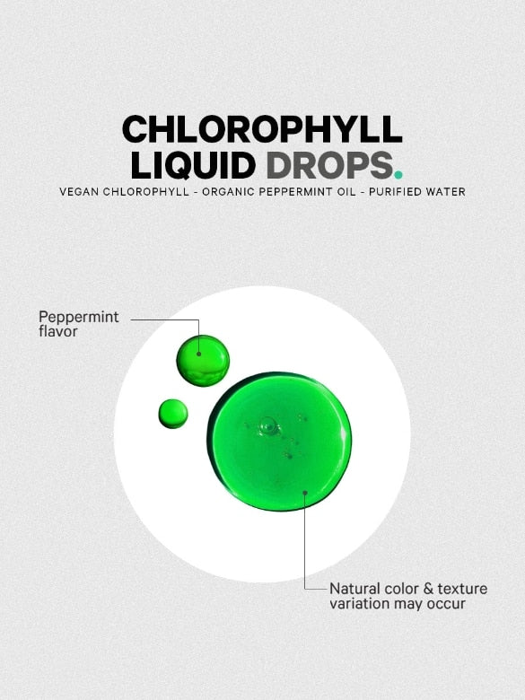 Codeage| Liquid Chlorophyll + Peppermint Drops | Root + Mei | Qty 30 servings